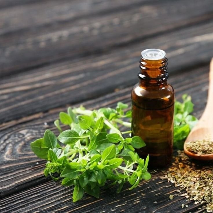 La imagen tiene un atributo ALT vacío; su nombre de archivo es suplementos-naturales.jpg